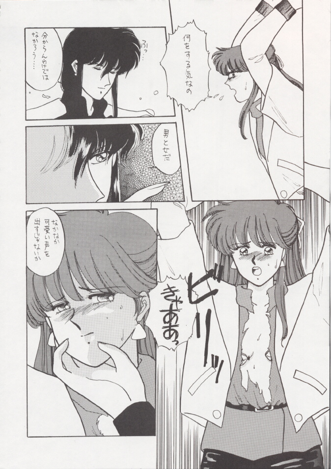 (C37) [Secret Society M (Kitahara Aki)] Anice 2 Gekkabijin (Sonic Soldier Borgman) page 13 full
