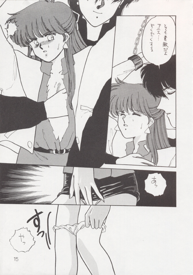 (C37) [Secret Society M (Kitahara Aki)] Anice 2 Gekkabijin (Sonic Soldier Borgman) page 14 full