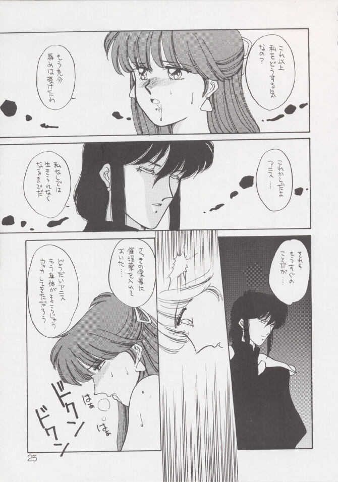 (C37) [Secret Society M (Kitahara Aki)] Anice 2 Gekkabijin (Sonic Soldier Borgman) page 24 full