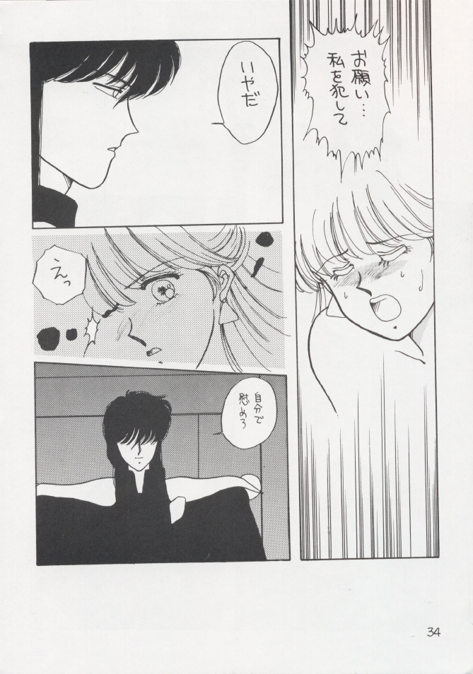 (C37) [Secret Society M (Kitahara Aki)] Anice 2 Gekkabijin (Sonic Soldier Borgman) page 33 full