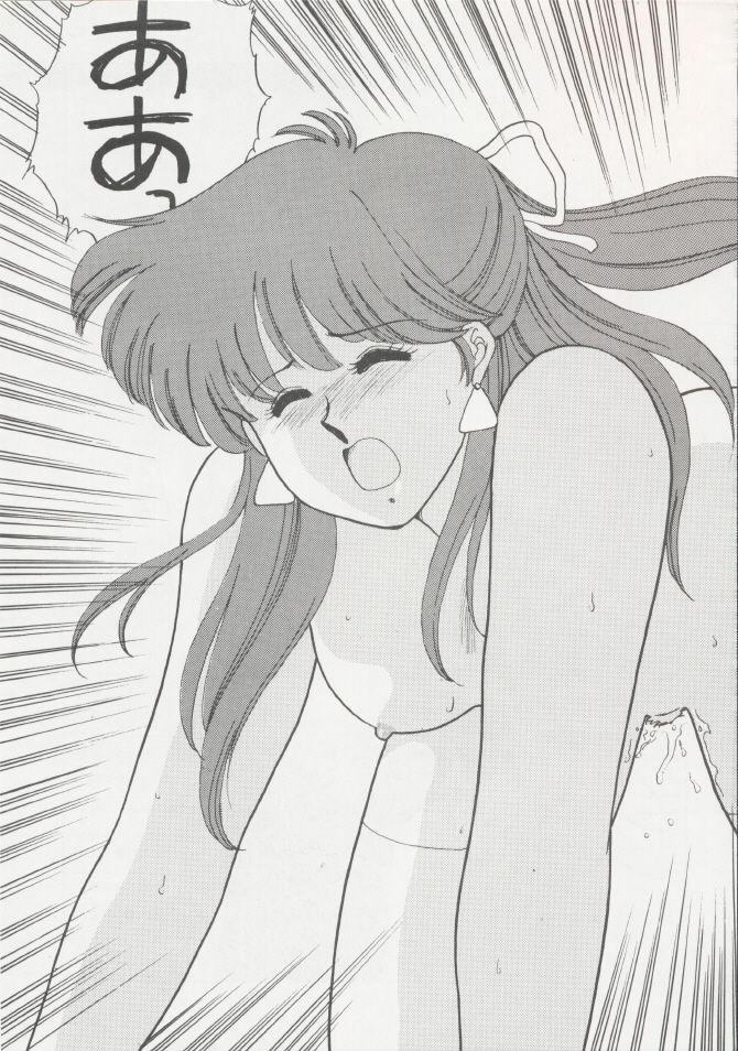 (C37) [Secret Society M (Kitahara Aki)] Anice 2 Gekkabijin (Sonic Soldier Borgman) page 45 full