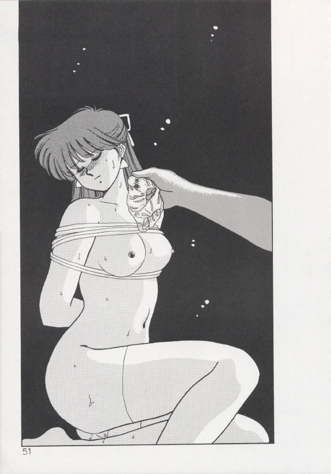 (C37) [Secret Society M (Kitahara Aki)] Anice 2 Gekkabijin (Sonic Soldier Borgman) page 50 full