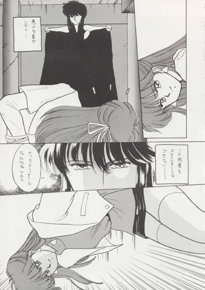 (C37) [Secret Society M (Kitahara Aki)] Anice 2 Gekkabijin (Sonic Soldier Borgman) page 6 full