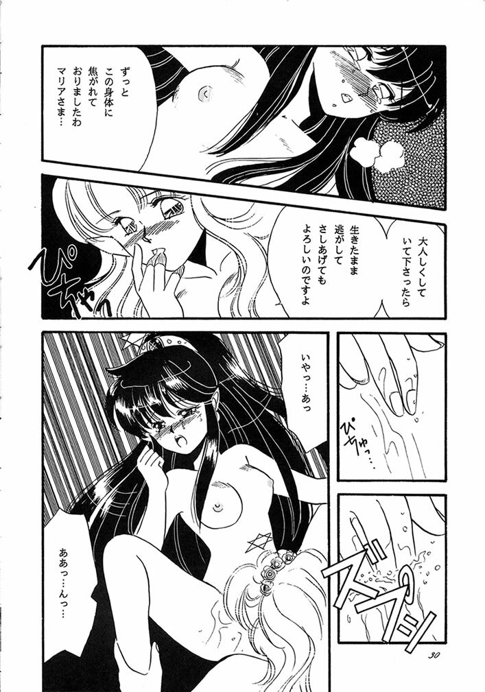 (C40) [Secret Society M (Kitahara Aki, Minamino Marin)] Maria (Bikkuriman) page 29 full