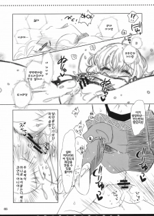 (Reitaisai 7) [Shoujo Zukin (Hatomugi Munmun)] Hanazono Himitsu Onnanoko | 꽃밭의 비밀 여자아이 (Touhou Project) [Korean] [팀☆면갤] - page 20