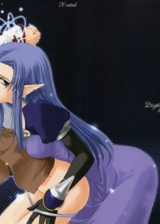 (CR36) [Digital Lover (Nakajima Yuka)] D.L. action 27 (Fate/stay night) [Chinese] [星詠漢化小組]