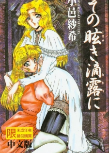 [Komura Saki] Sono Mabayuki Shitatari ni [Chinese]