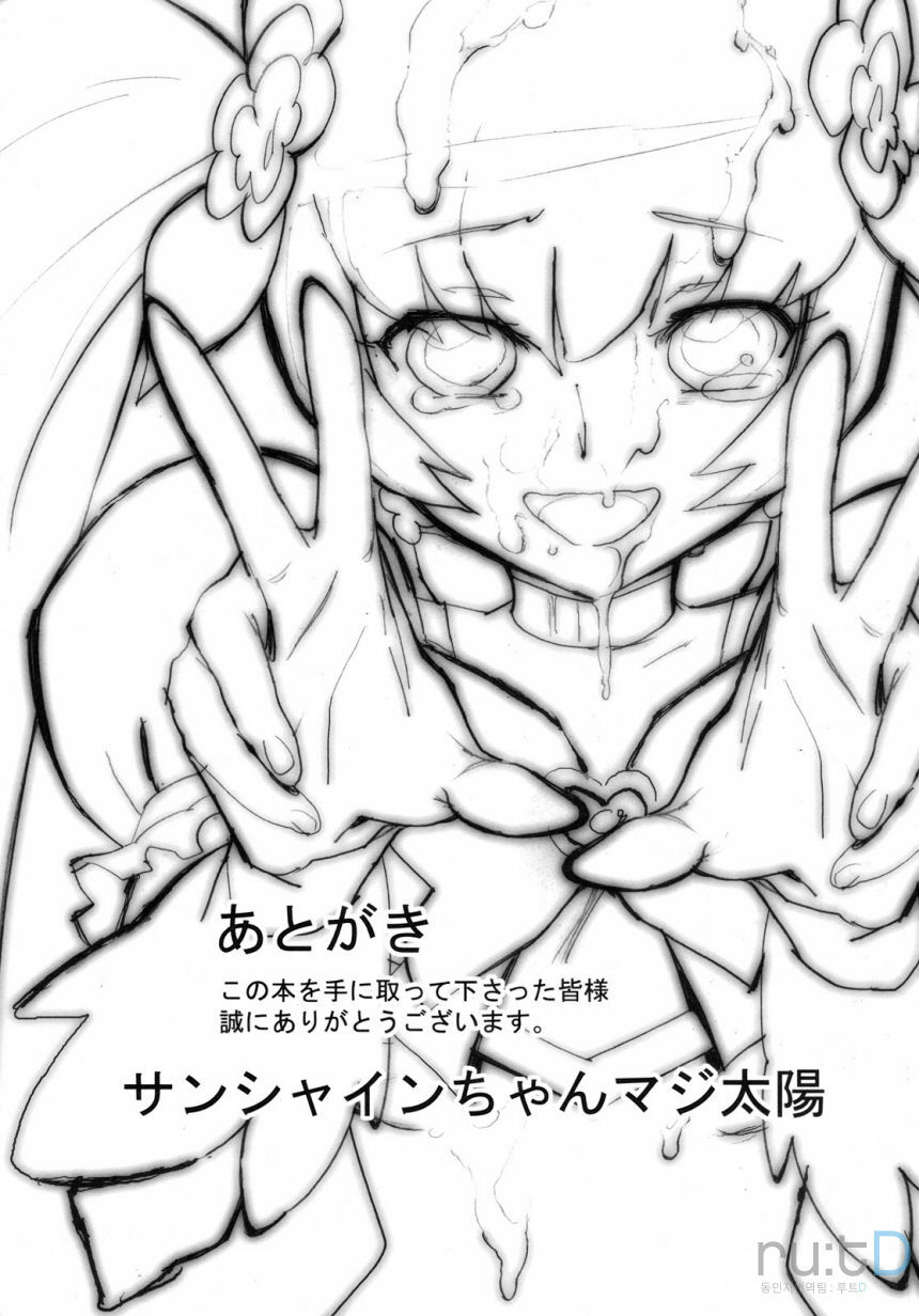 (C78) [Perestroika (Inoue Kiyoshirou)] Sunshine Catch! (Heart Catch Precure) (Korean) page 20 full