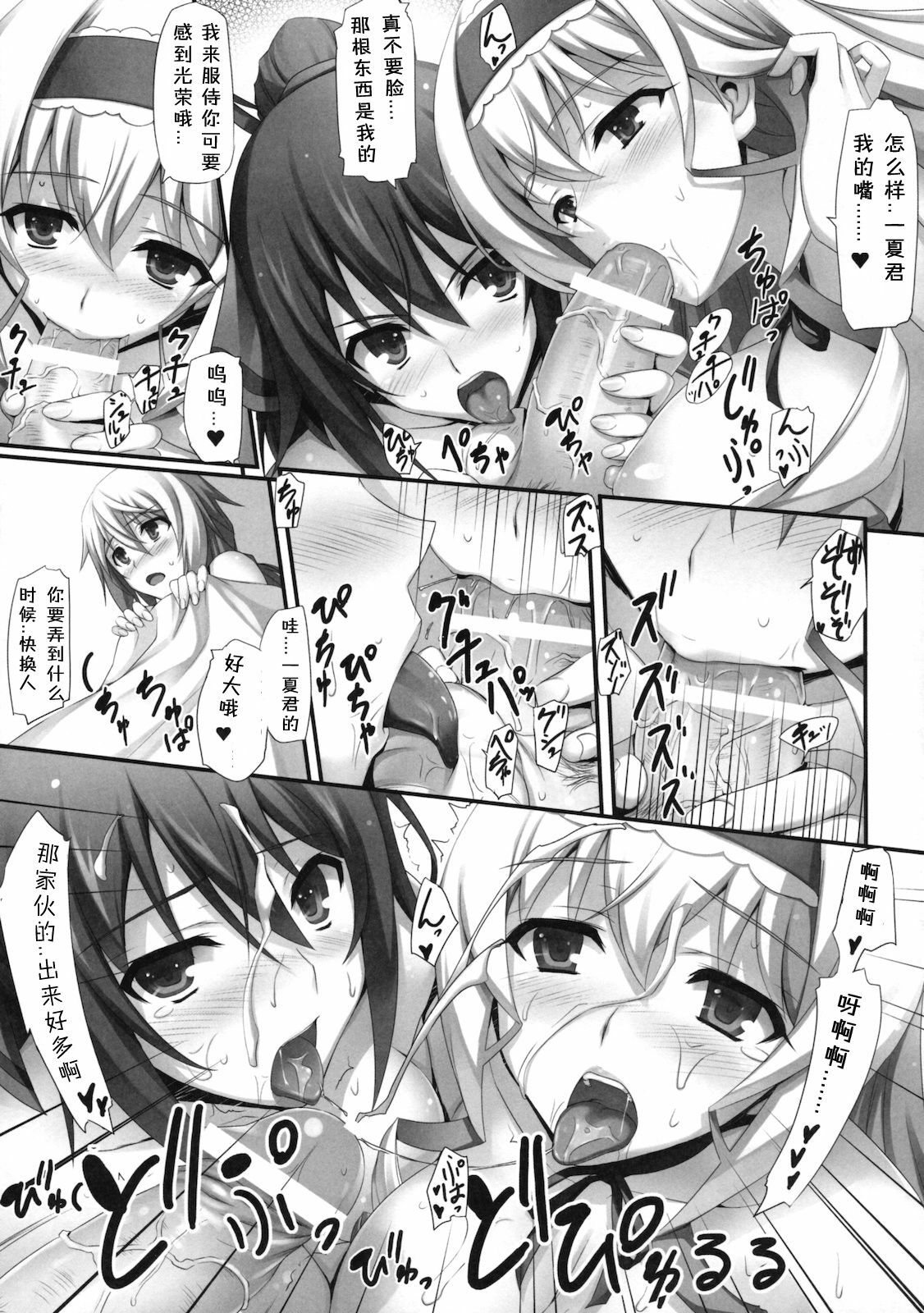 (COMIC1☆5) [Mugen Kidou A (Tomose Shunsaku)] INFINITY's (IS ) [Chinese] page 14 full