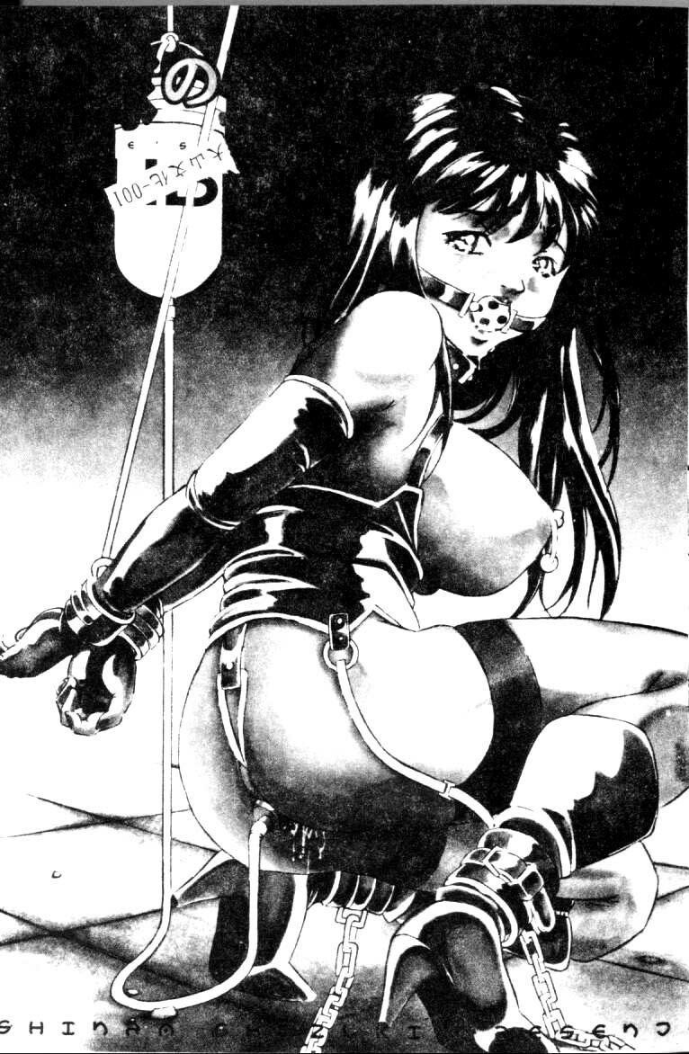 [Shizuki Shinra] Slave's Bloodline [Chinese] page 3 full