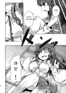 (C76) [Katamichi Kippu (Mikage Sekizai)] Konna Gensoukyou (Touhou Project) [Korean] - page 14