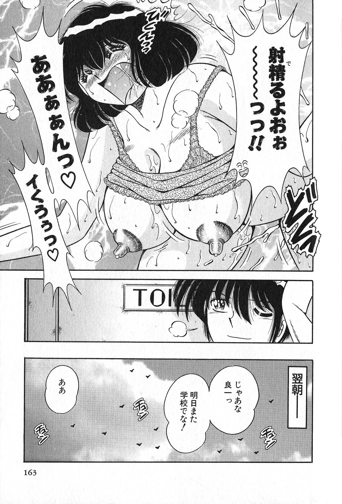 [Umino Sachi] Lovely Maid page 166 full