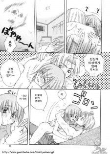 [Sakai Hiroyasu] Sugao no Kanojo [Korean] - page 20