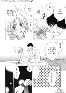 [Sakai Hiroyasu] Sugao no Kanojo [Korean] - page 37