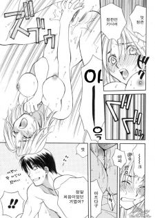 [Sakai Hiroyasu] Sugao no Kanojo [Korean] - page 40