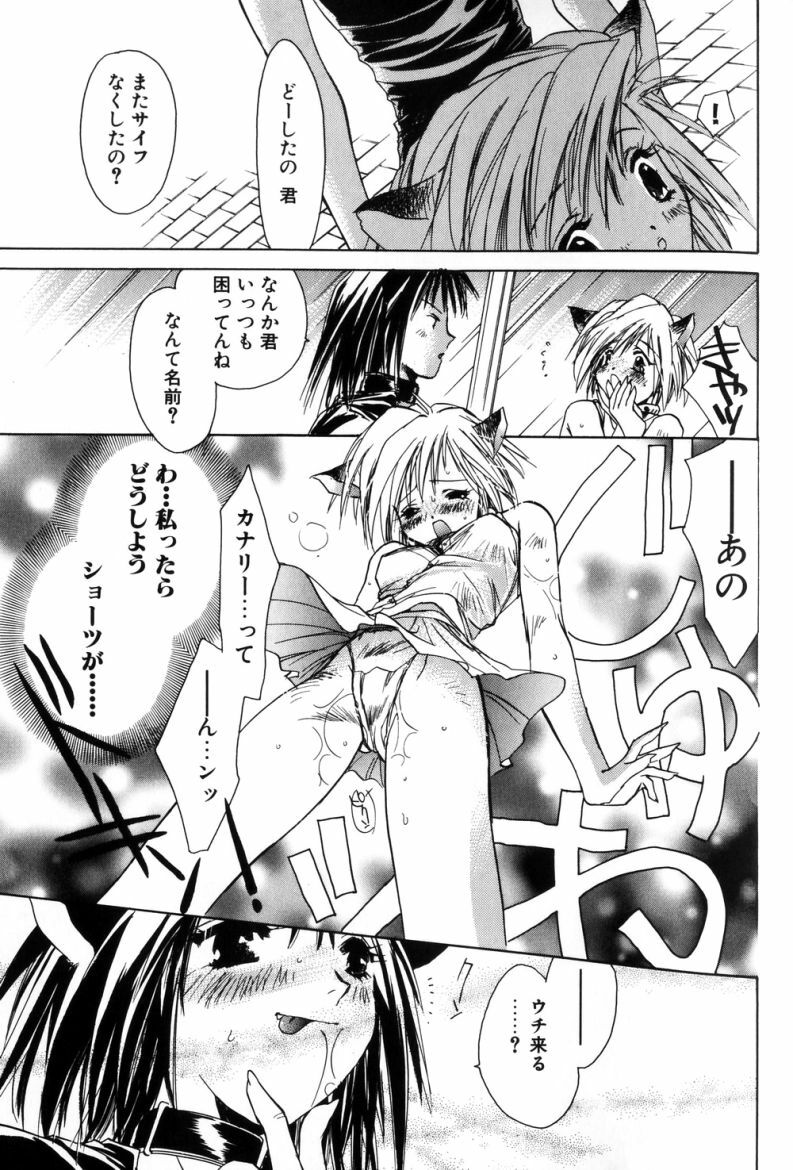 [Unite Souji] Celamic Garden page 35 full