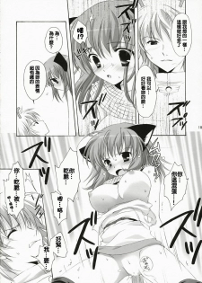 (C72) [Miyumiyu Project (Kanna Satsuki)] Kishi-san no Tenshoku Jouhou (Ragnarok Online) [Chinese] [Nice漢化] - page 17