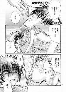 [Kozouya (Eiki Eiki, Zaou Taishi)] Boku no Chikyuu wo Mamotte (Gundam SEED) - page 13