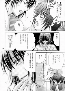 [Kozouya (Eiki Eiki, Zaou Taishi)] Boku no Chikyuu wo Mamotte (Gundam SEED) - page 24