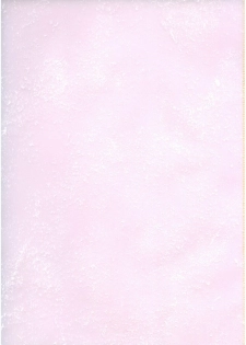 [Kozouya (Eiki Eiki, Zaou Taishi)] Boku no Chikyuu wo Mamotte (Gundam SEED) - page 2