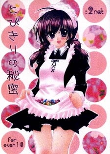 (C67) [Sakurakan (Seriou Sakura)] Tobikiri no Himitsu 2 (Inuyasha)