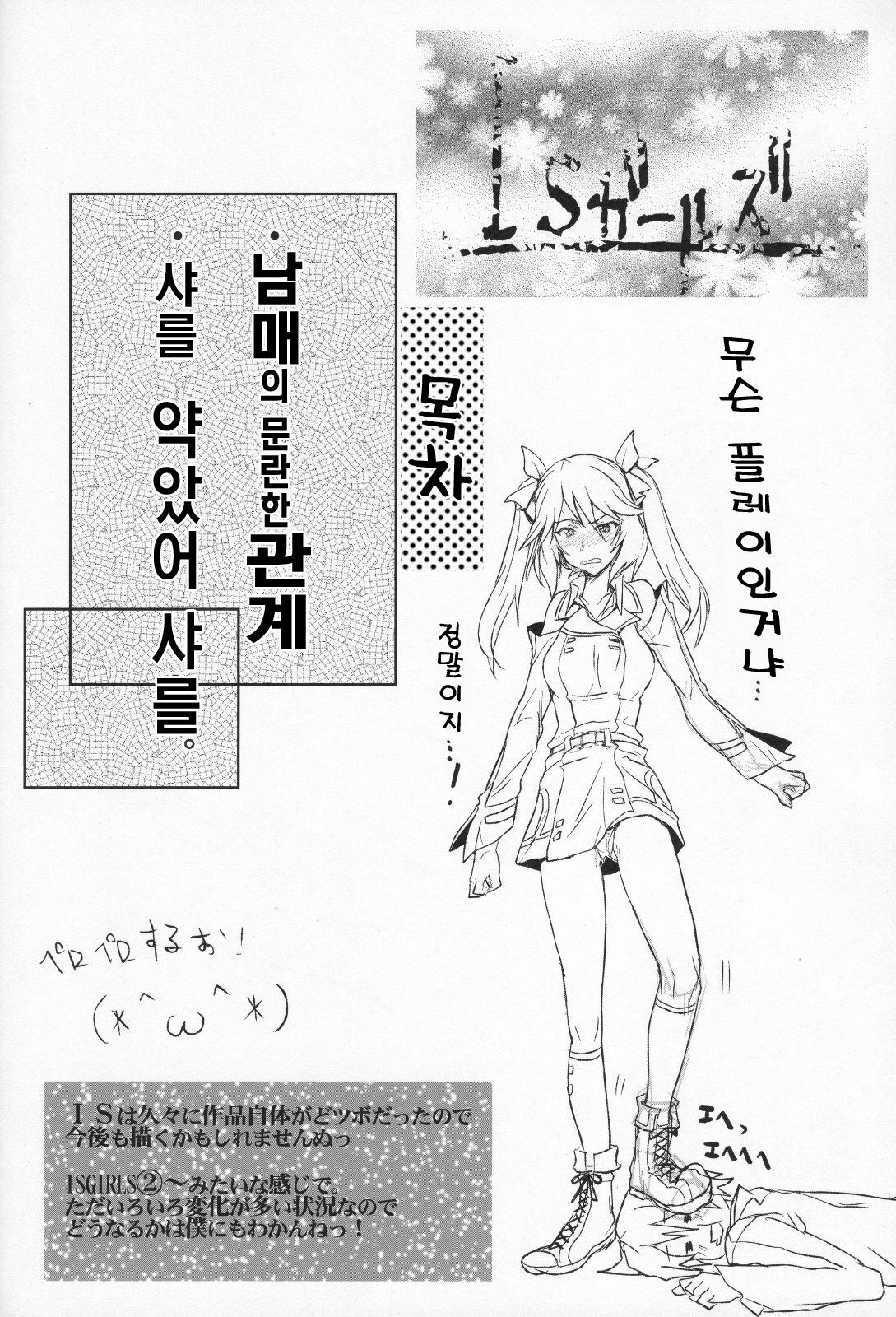 (COMIC1☆5) [RIBI Dou (Higata Akatsuki)] IS Girl's (IS ) [Korean] page 3 full
