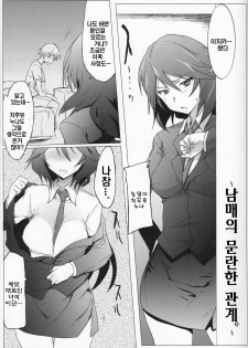 (COMIC1☆5) [RIBI Dou (Higata Akatsuki)] IS Girl's (IS ) [Korean] - page 4