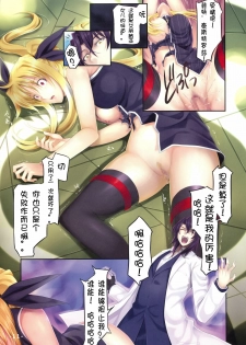 (C74) [TRI-MOON! (Mikazuki Akira!)] PASSION -karakore 2- (Mahou Shoujo Lyrical Nanoha) [Chinese] [夜哥汉化] - page 10