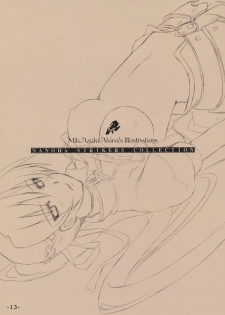 (C74) [TRI-MOON! (Mikazuki Akira!)] PASSION -karakore 2- (Mahou Shoujo Lyrical Nanoha) [Chinese] [夜哥汉化] - page 12