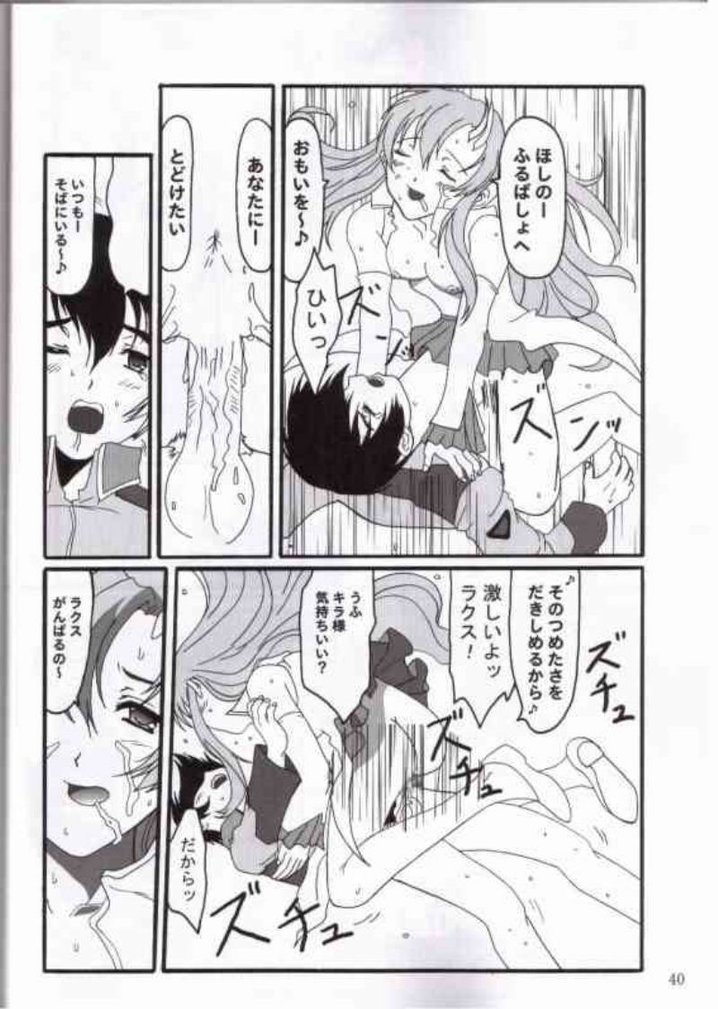 (C65) [TK-BROS (Various)] MIX UP 2003 WINTER Xsion (Kidou Senshi Gundam SEED) page 35 full