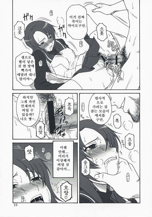 (C73)[Oretachi Misnon Ikka (Misnon the Great)] Mai-KAN 2 (Mai-HiME) (korean) page 14 full