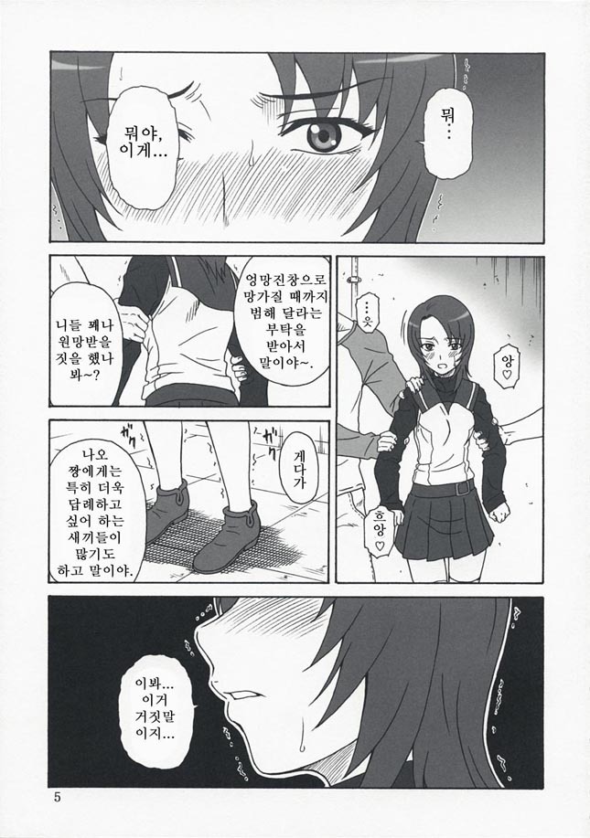 (C73)[Oretachi Misnon Ikka (Misnon the Great)] Mai-KAN 2 (Mai-HiME) (korean) page 4 full