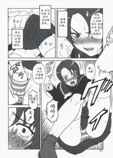 (C73)[Oretachi Misnon Ikka (Misnon the Great)] Mai-KAN 2 (Mai-HiME) (korean) - page 11