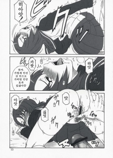 (C73)[Oretachi Misnon Ikka (Misnon the Great)] Mai-KAN 2 (Mai-HiME) (korean) - page 12