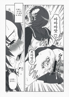 (C73)[Oretachi Misnon Ikka (Misnon the Great)] Mai-KAN 2 (Mai-HiME) (korean) - page 16