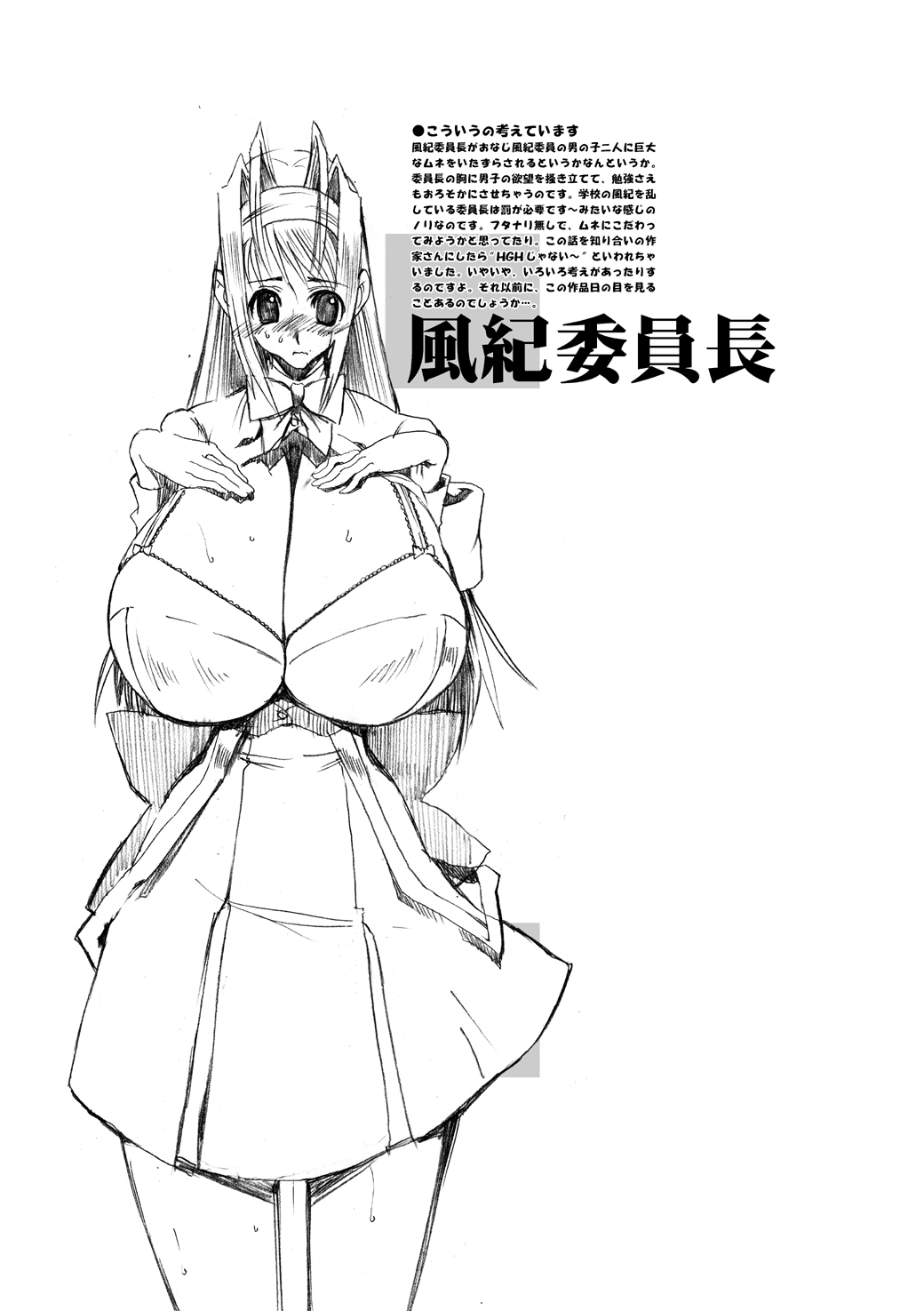 (Puniket 11) [HGH (HG Chagawa)] PLEATED GUNNER #12 (Gundam SEED DESTINY) page 27 full