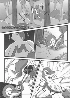 (Fur-st) [Dogear (Inumimi Moeta, Kurou Karasu)] Tsutahebishiiku Nisshi (Pokémon) - page 5