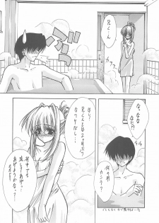 (C60) [BLUE GARNET (Serizawa Katsumi)] BLUE GARNET XII EDEN (Sister Princess) - page 13