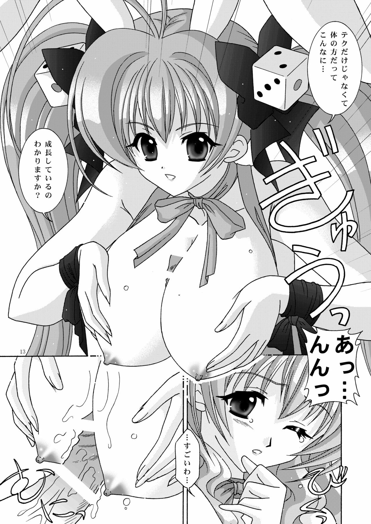 (C65) [Bousou!! Fuhatsudan (Takai Biki)] BOOB×BOOB2 (Di Gi Charat) page 12 full
