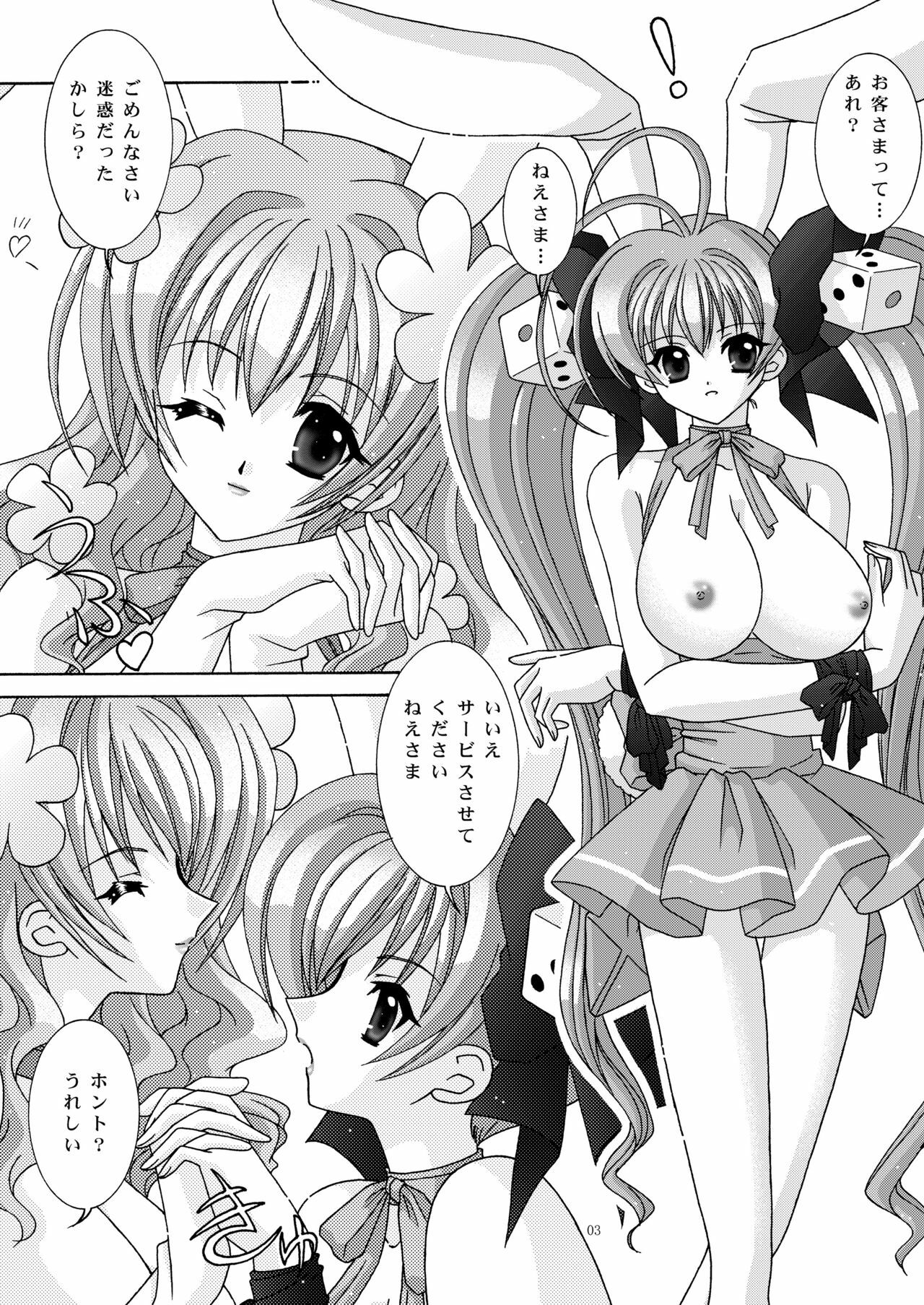 (C65) [Bousou!! Fuhatsudan (Takai Biki)] BOOB×BOOB2 (Di Gi Charat) page 2 full