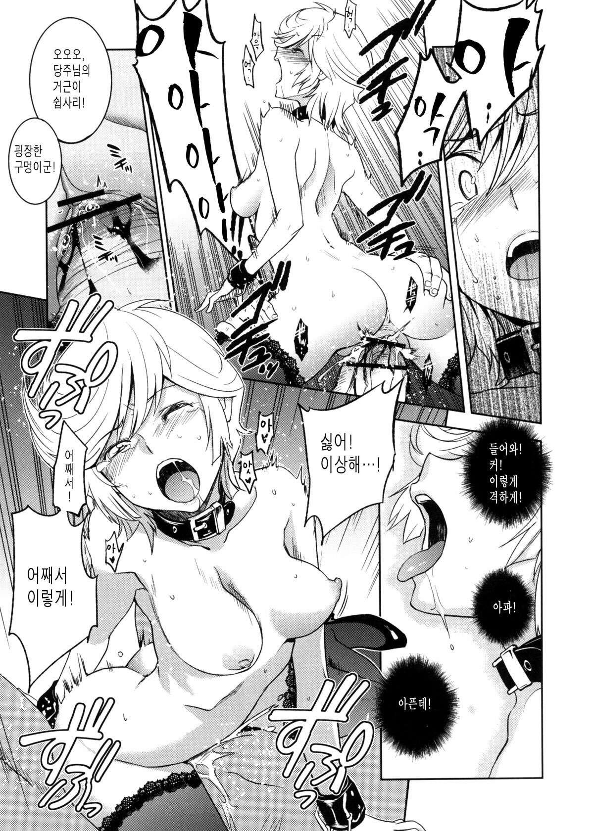 (C79) [Jingai Makyou (Inue Shinsuke)] Kanousei no Kemono (Mobile Suit Gundam Unicorn) [Korean] page 15 full