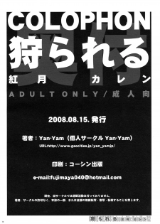 (C74) [Yan-Yam] Karareru -Akatsuki Kallen- (Code Geass: Lelouch of the Rebellion) [Korean] [Team H] - page 29