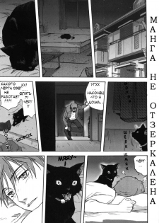 [Mitarashi Kousei] Neko no Ongaeshi | Кошка, которая платит за доброту (Kazoku Donburi) [Russian] [Neko-Punk]