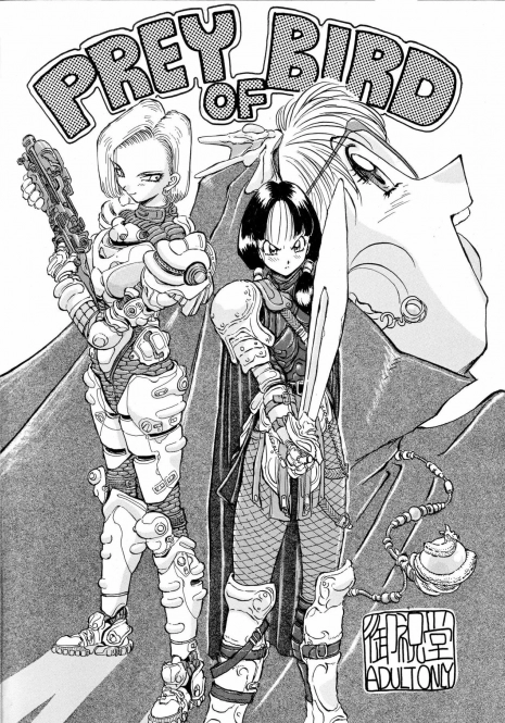 [Oiwaidou (Iwasaki Tatsuya)] PREY OF BIRD (Dragon Ball Z) [Digital]
