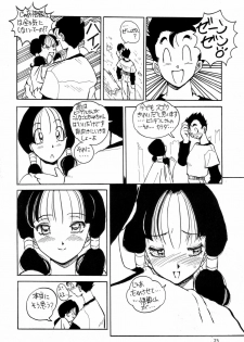 [Oiwaidou (Iwasaki Tatsuya)] PREY OF BIRD (Dragon Ball Z) [Digital] - page 25