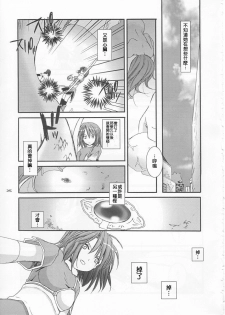 (C65) [Digital Lover (Nakajima Yuka)] D.L. Action 21 (Ragnarok Online) [Chinese] [Nice漢化] - page 25