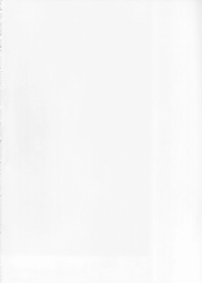 (C65) [Digital Lover (Nakajima Yuka)] D.L. Action 21 (Ragnarok Online) [Chinese] [Nice漢化] - page 2