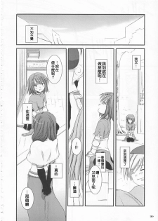 (C65) [Digital Lover (Nakajima Yuka)] D.L. Action 21 (Ragnarok Online) [Chinese] [Nice漢化] - page 30
