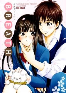 (C79) [Yamaguchirou (Yamaguchi Shinji)] BREATH (Kimi ni Todoke) [Spanish]