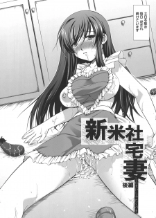 [Takane Nohana] Shinmai Shatakuzuma - page 27